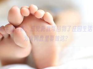 哦，ROSI奶牛的写真，感觉把我带回到了庄园生活…只是不懂为啥网盘里要放这？