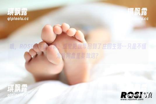 哦，ROSI奶牛的写真，感觉把我带回到了庄园生活…只是不懂为啥网盘里要放这？