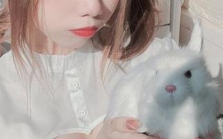 果咩酱w的美图更新，雪兔狗，一点都不乖巧，真让人无奈。