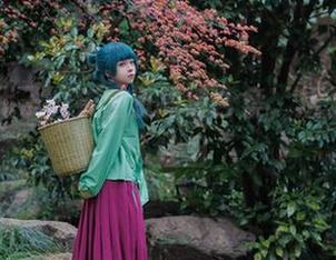 礼服佳代子，矢量鱼高清合集，从未如此惹人注目